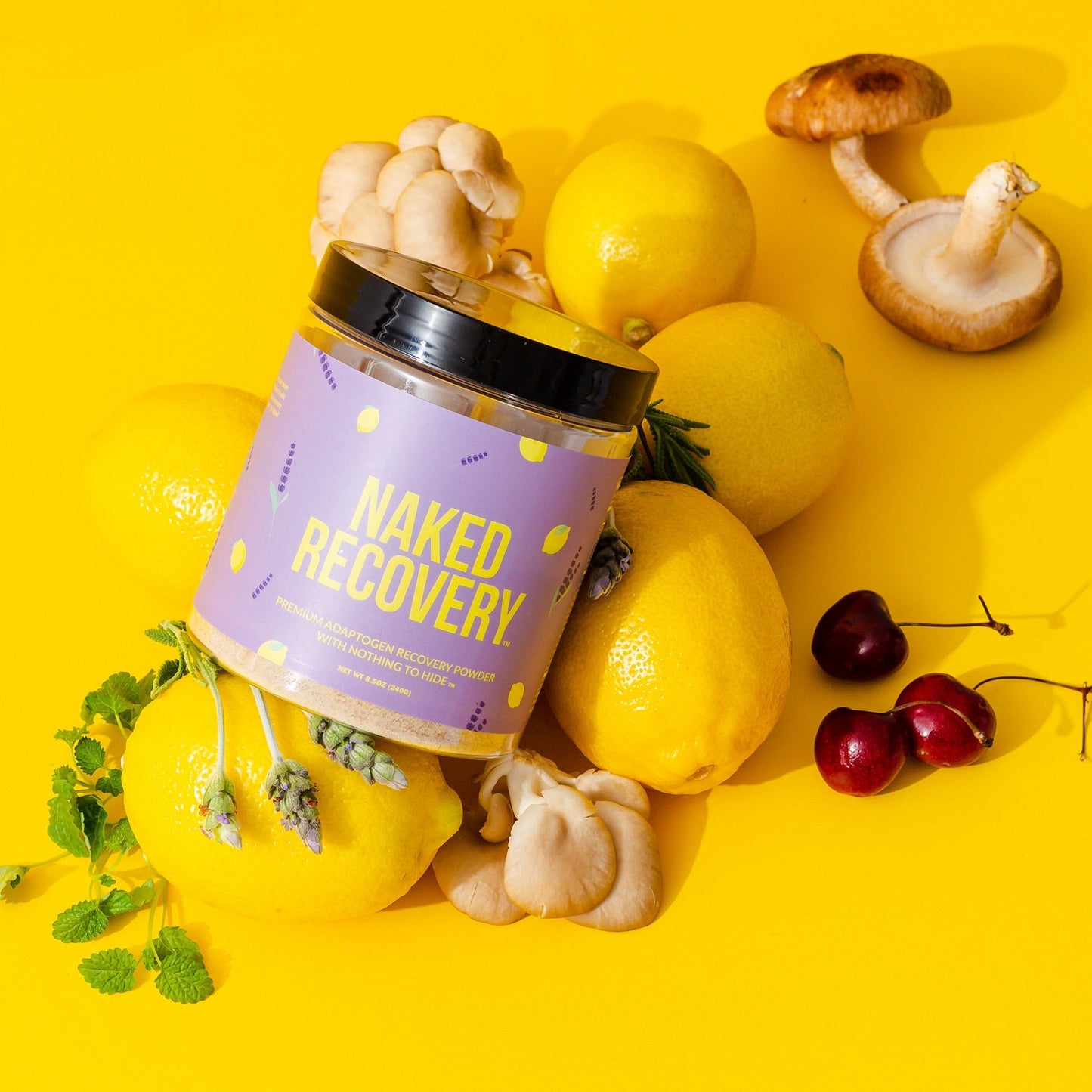 Mushroom Blend Supplement with Tart Cherry & Lemon Balm for Simple Preparation and Everyday Use