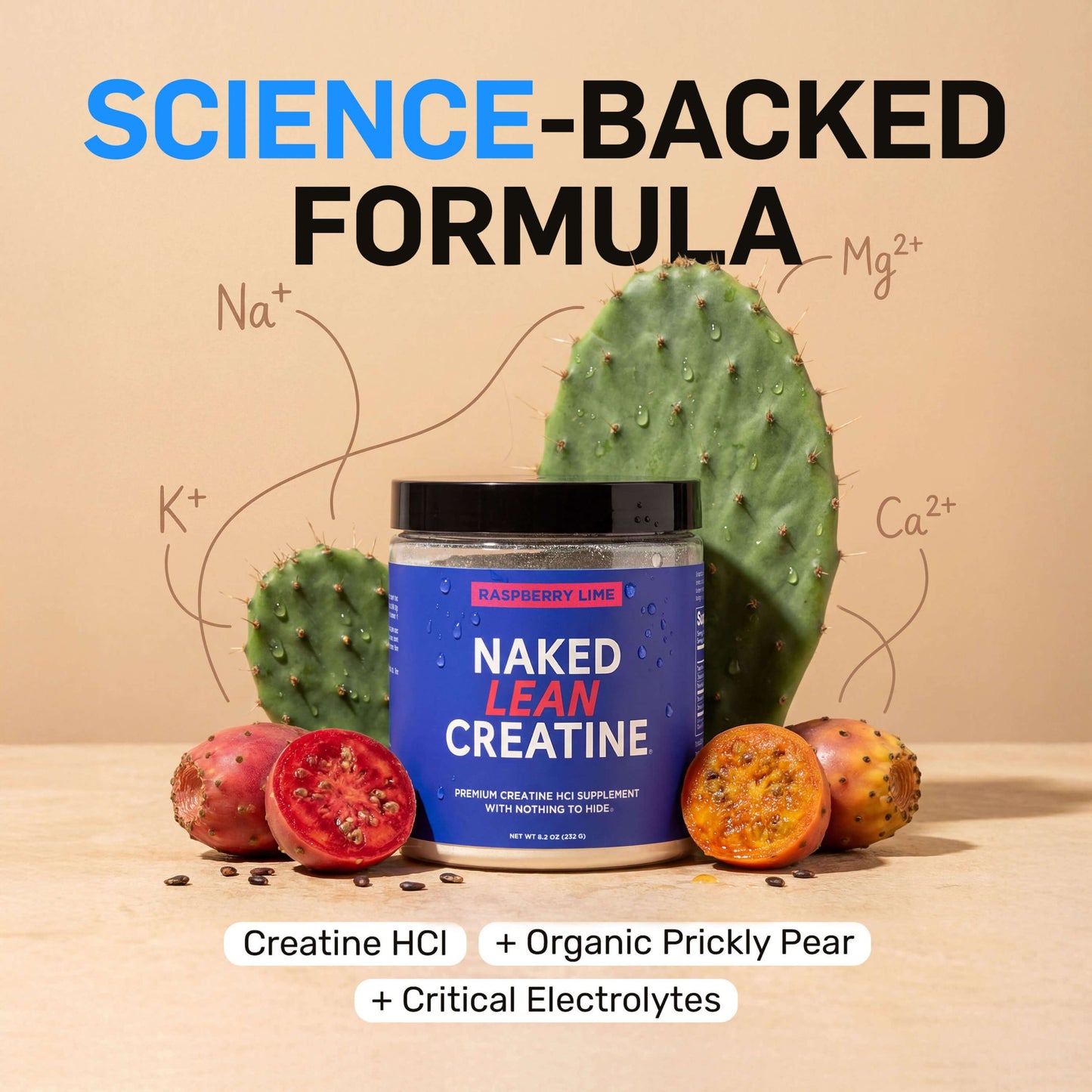 Raspberry Lime Creatine HCl Powder - Raspberry Lime Made for Everyday Active Routines