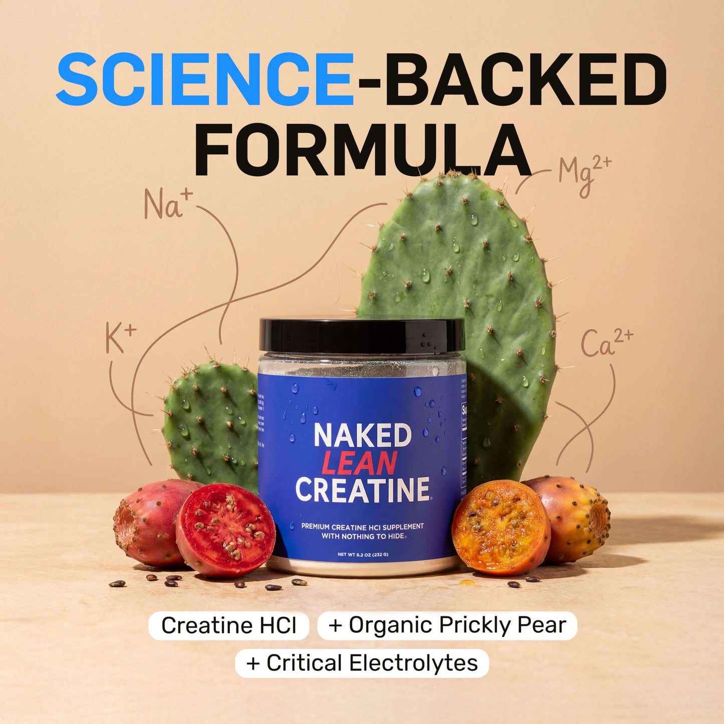 Creatine HCl Powder - Unflavored Made for Everyday Active Routines