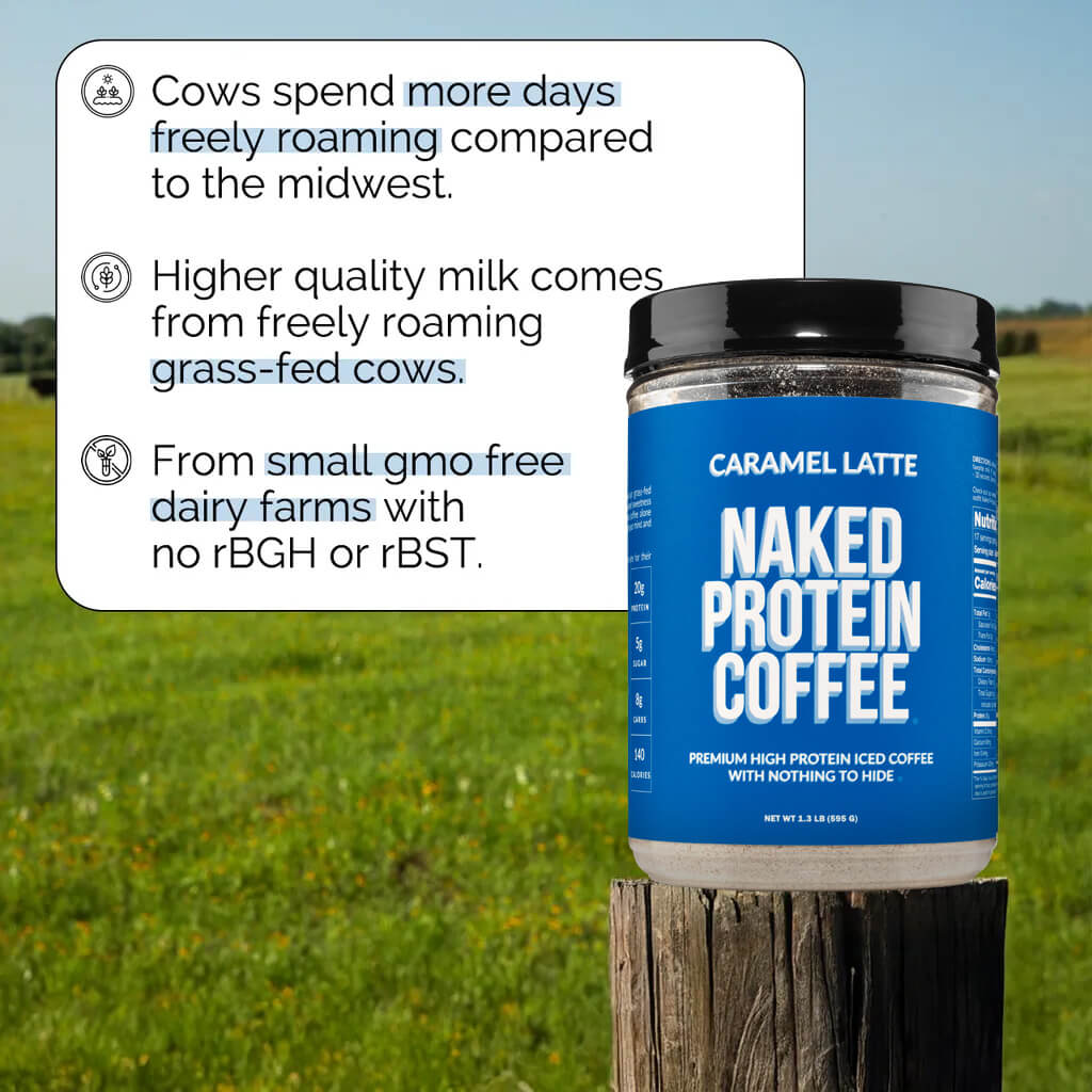 Caramel Latte Protein Iced Coffee - Caramel Latte Made for Refreshing Coffee Protein Drinks