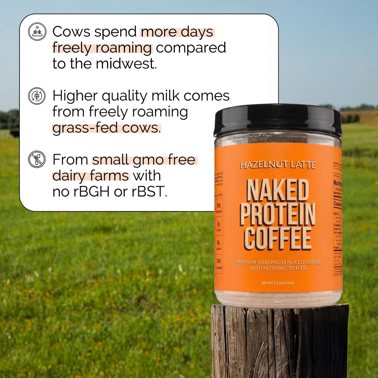 Hazelnut Latte Protein Iced Coffee - Hazelnut Latte Made for Refreshing Coffee Protein Drinks