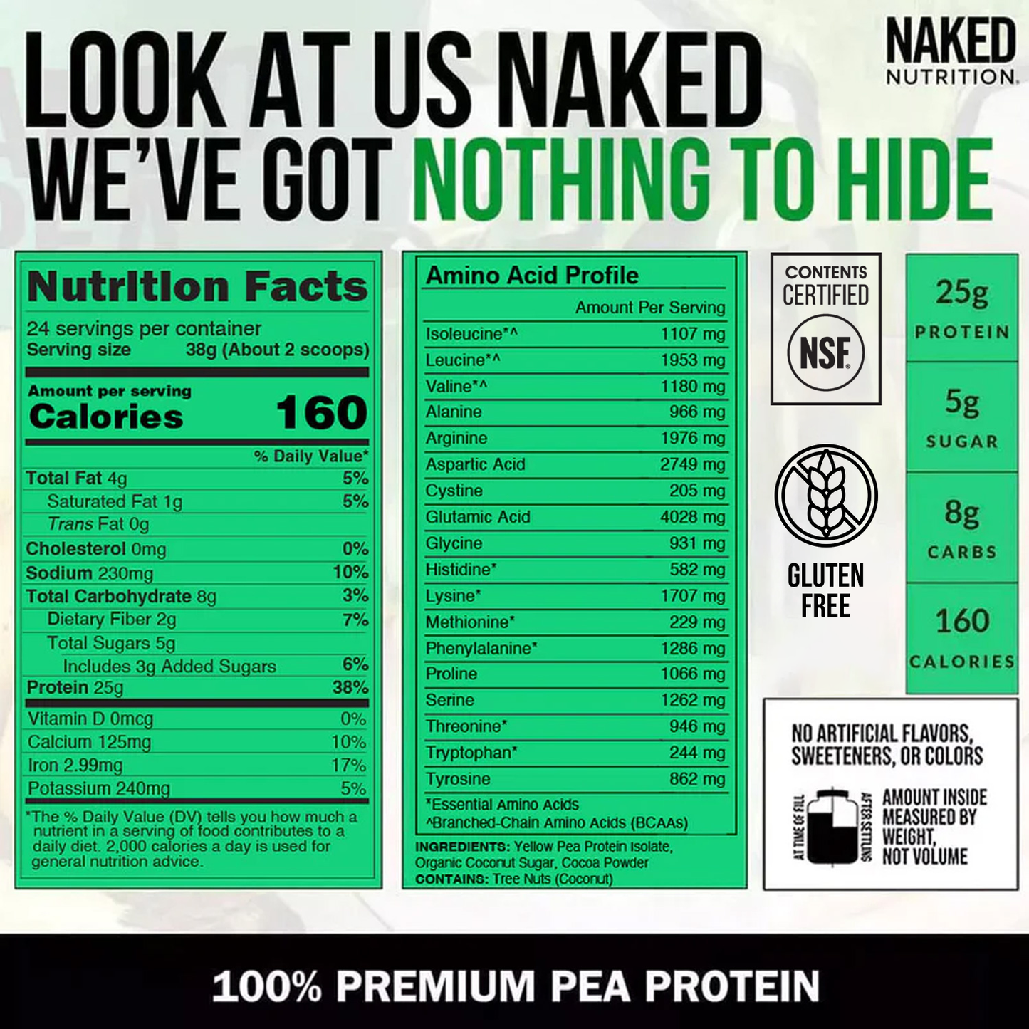 Chocolate Pea Protein Powder - Chocolate - Standard Size with a Smooth, Versatile Powder Format