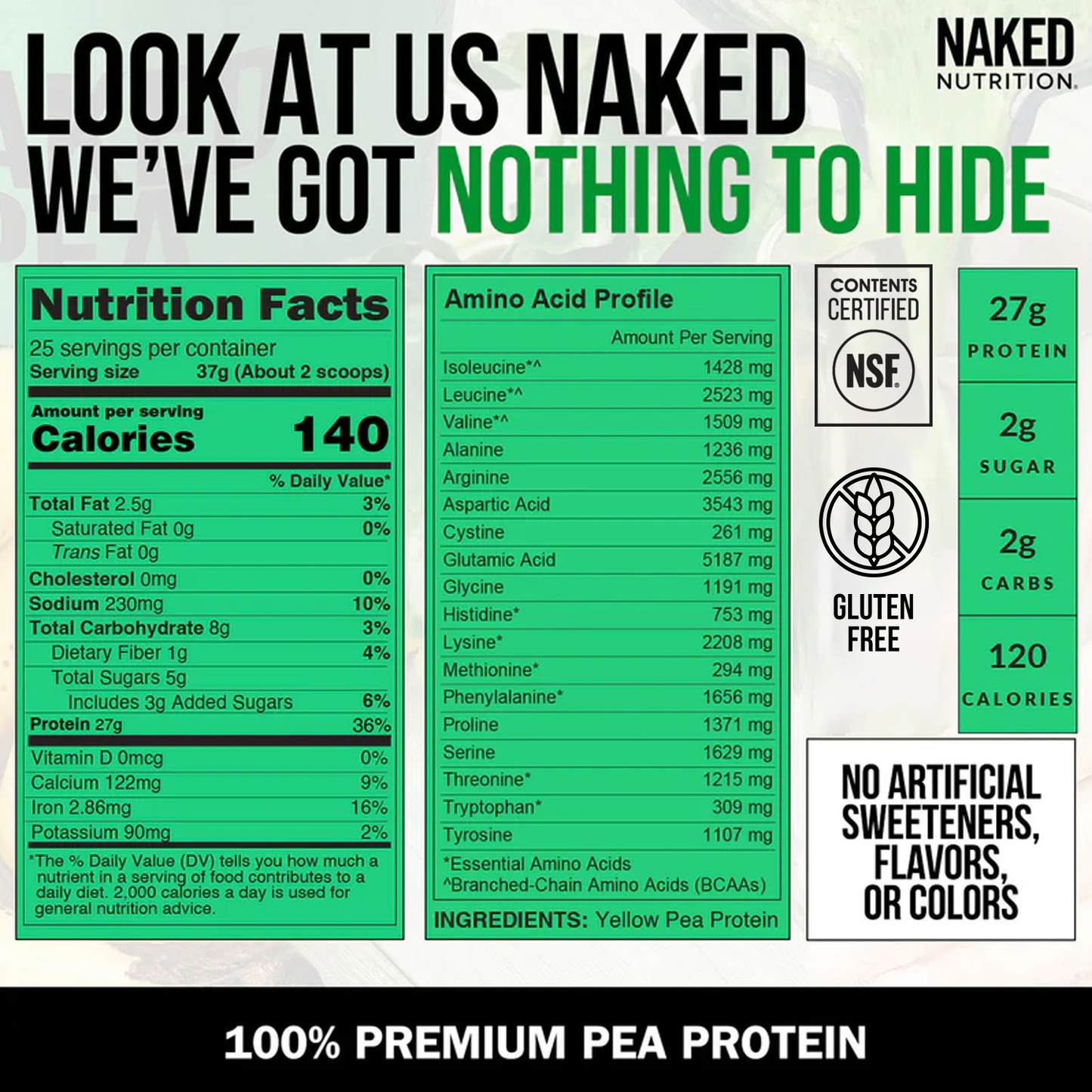 Pea Protein Powder - Unflavored - Standard Size with a Smooth, Versatile Powder Format
