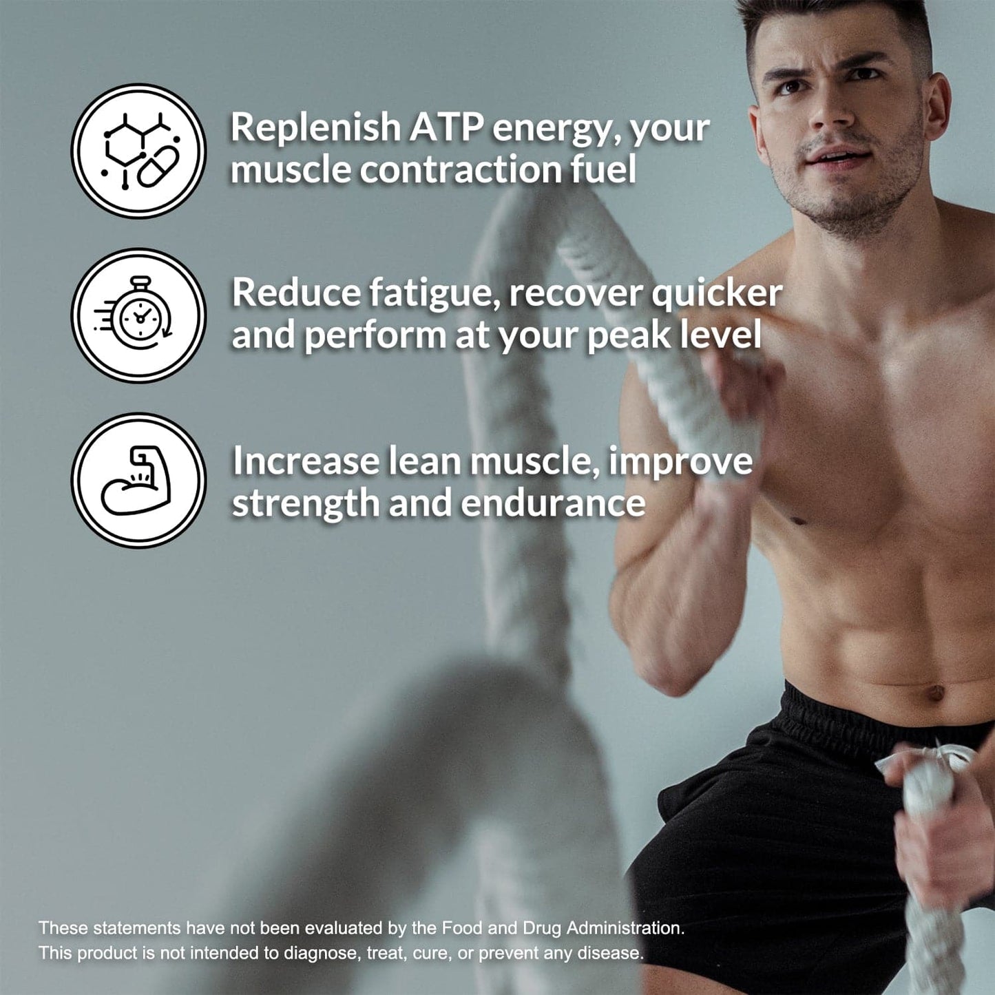 Creatine Monohydrate Powder - Unflavored - Standard Size Made for Everyday Active Routines