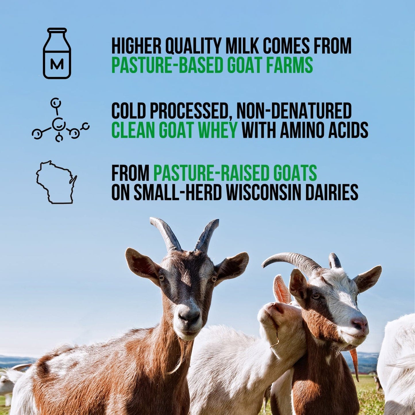 Goat Whey Protein Powder - Unflavored with a Smooth, Versatile Powder Format