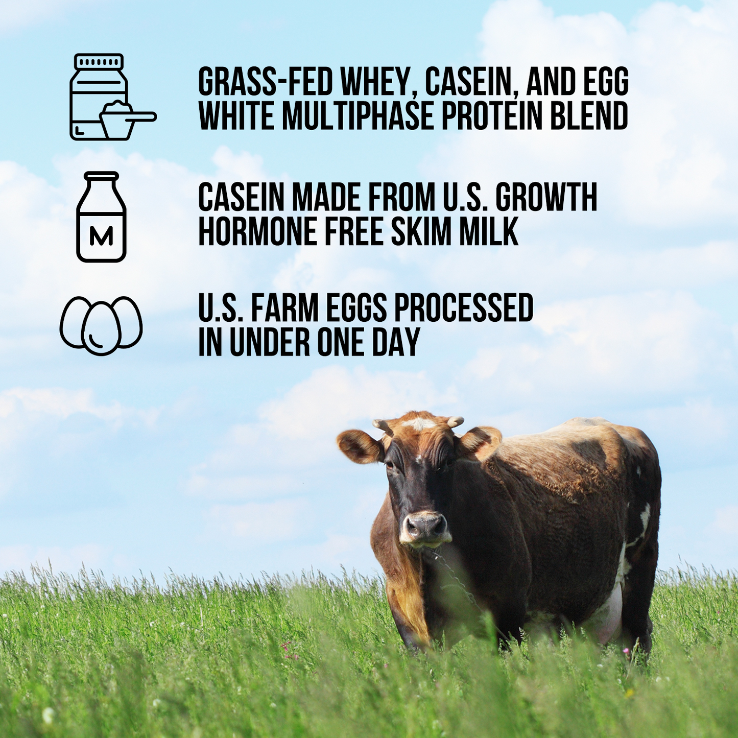 Protein Powder Blend - 3LB Egg Whey & Casein Protein Blend - 3LB with a Smooth, Versatile Powder Format