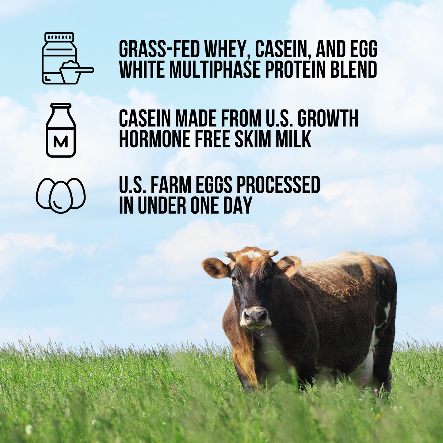 Protein Powder Blend - 1LB Egg Whey & Casein Protein Blend - 1LB with a Smooth, Versatile Powder Format