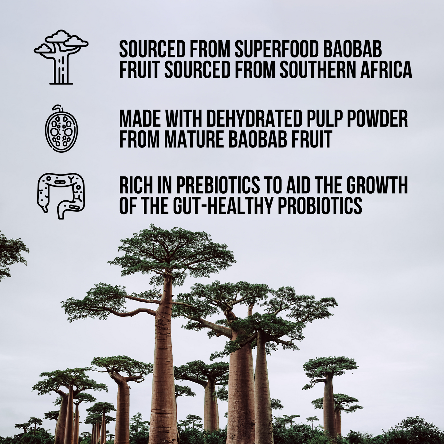 Organic Fiber Supplement for Simple Preparation and Everyday Use