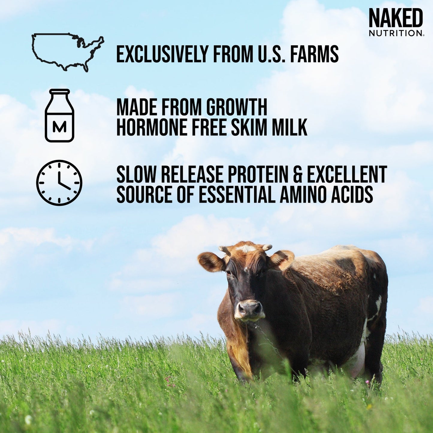 Micellar Casein Protein Powder - Unflavored - Value Size with a Smooth, Versatile Powder Format