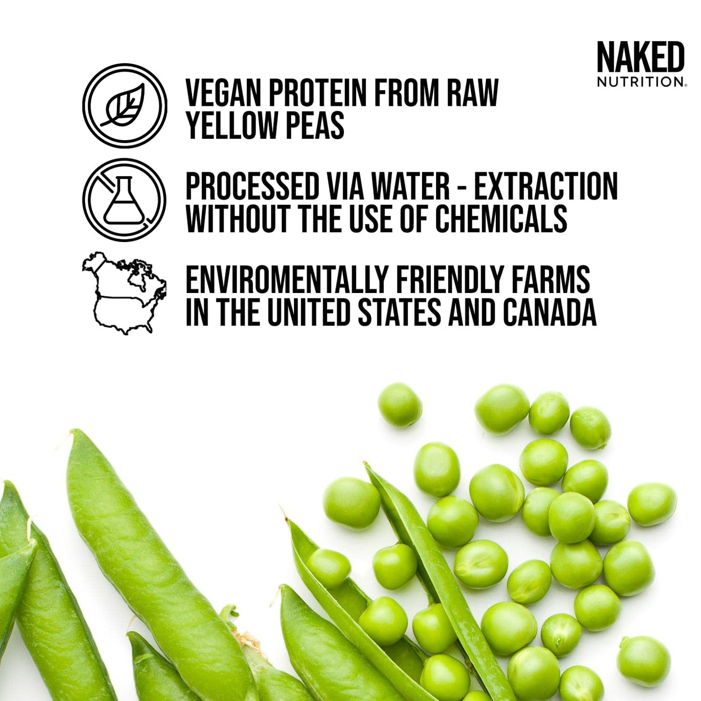Vegan Protein Powder Sample Pack with a Smooth, Versatile Powder Format