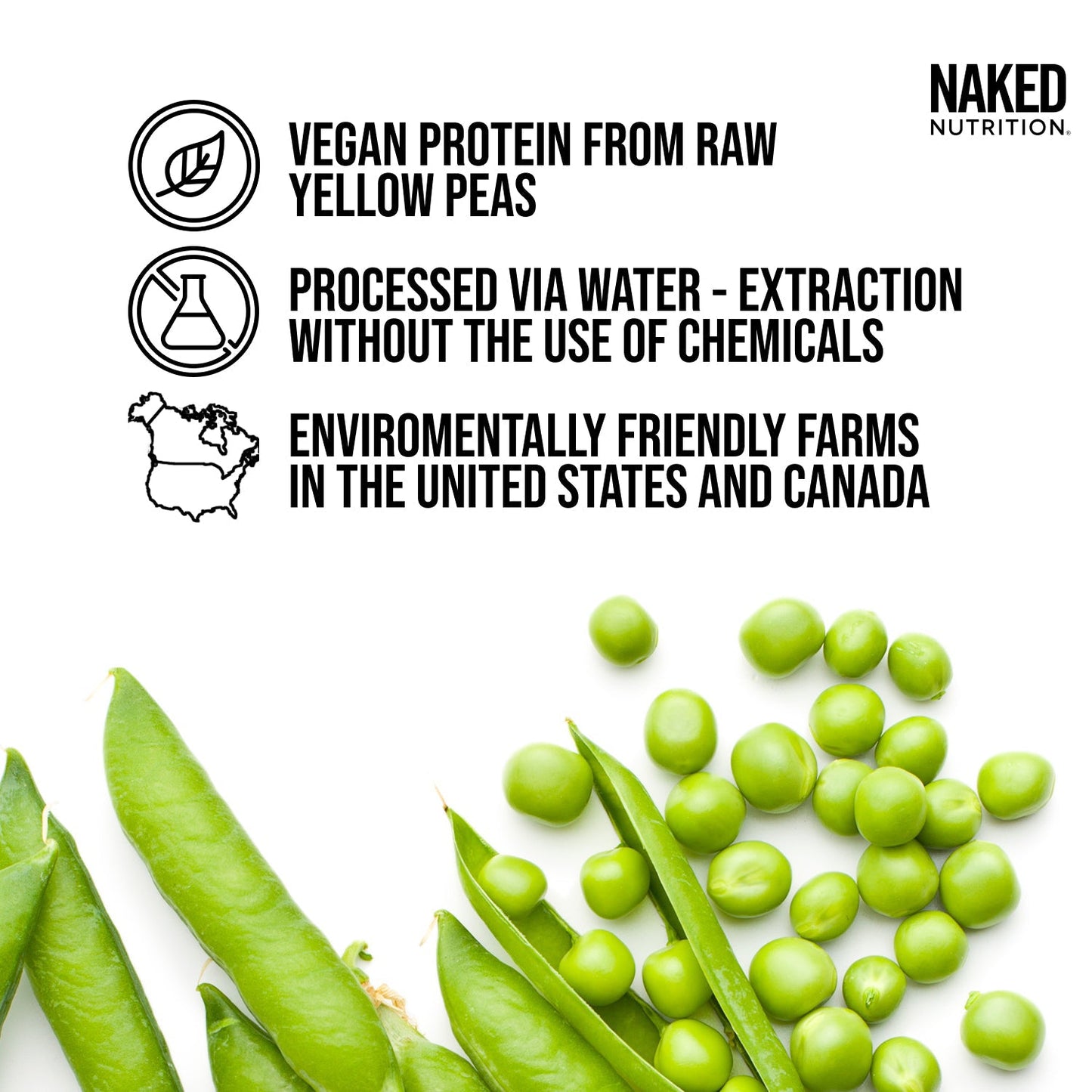 Chocolate Pea Protein Powder - Chocolate - Bulk Size with a Smooth, Versatile Powder Format